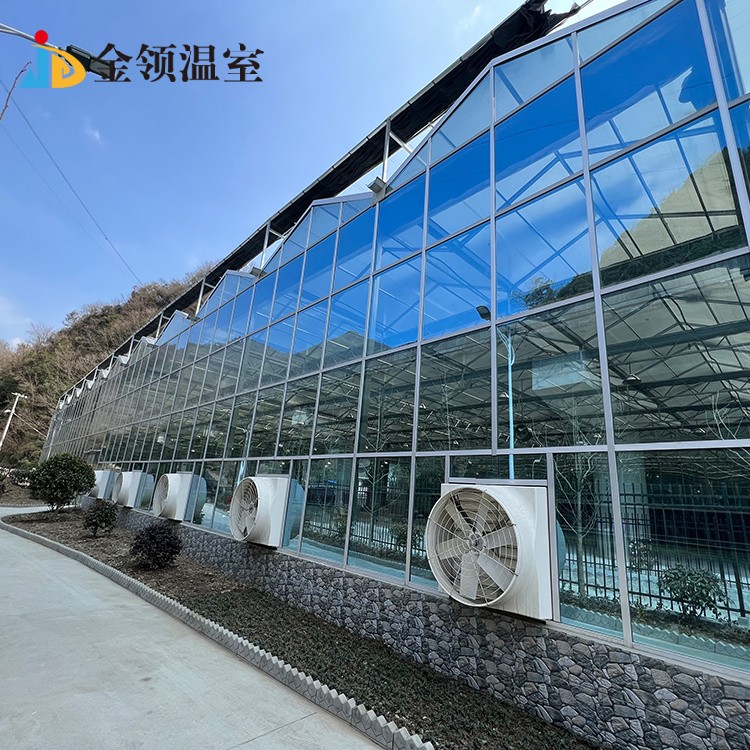 玻璃智能溫室大棚